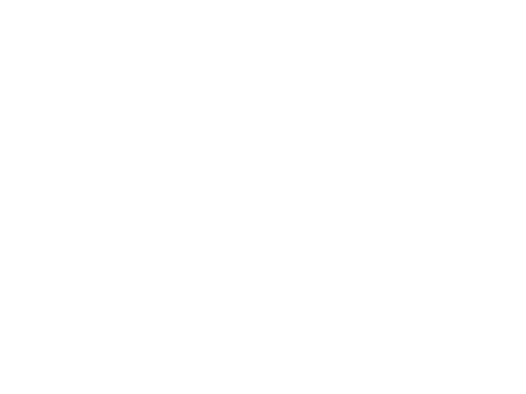Australian Research Council